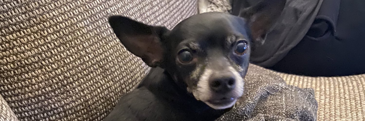 Bdopee's profile banner image