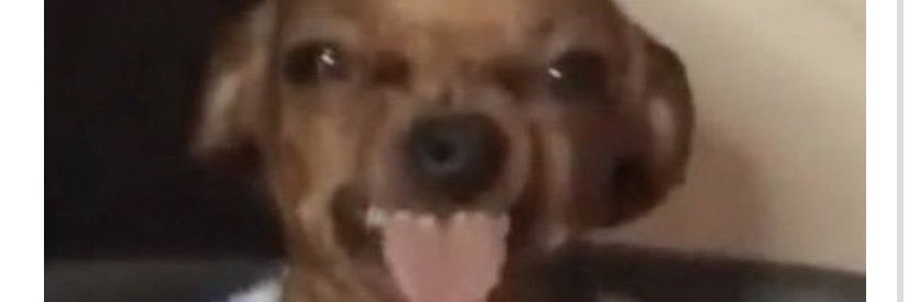 abbymclachlan__'s profile banner image