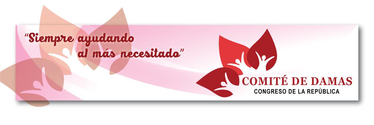ComiteDamasCR's profile banner image