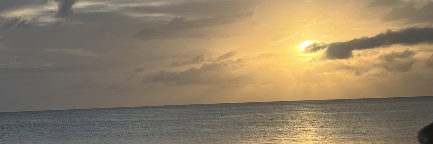 iiitsjasmin's profile banner image