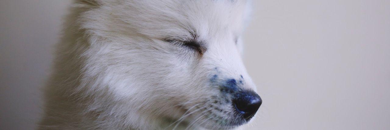 iceaxx's profile banner image