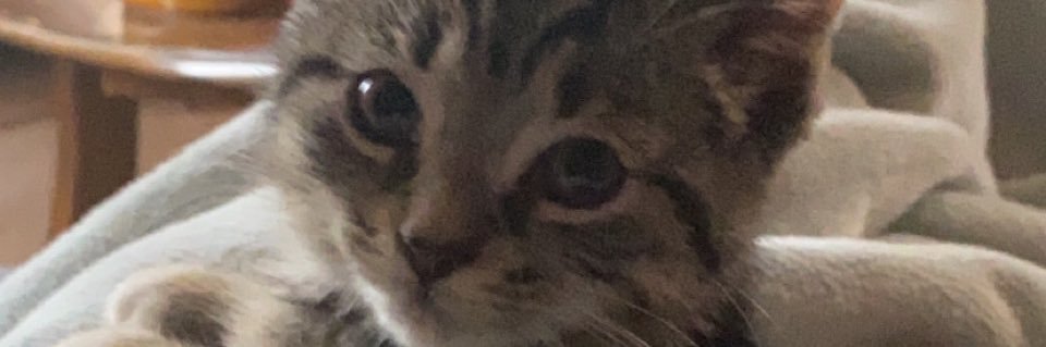 VanSteeMichael's profile banner image