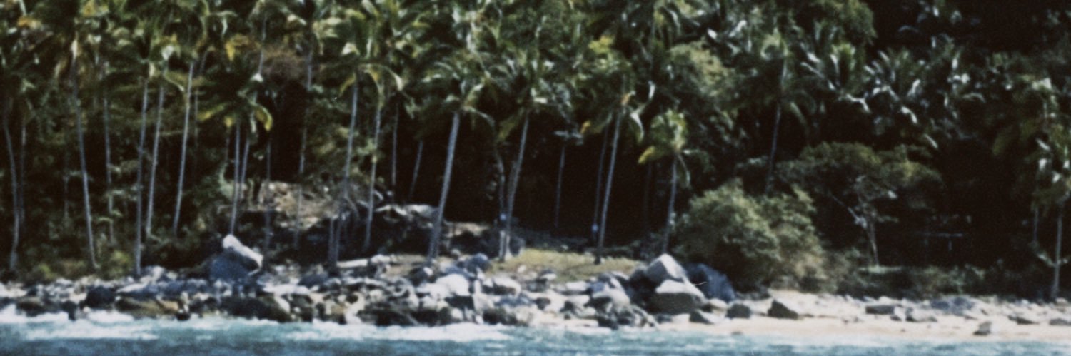 LandiParis's profile banner image
