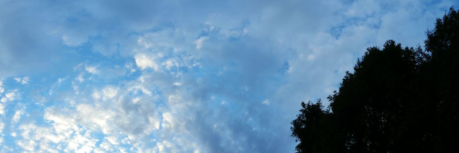 EveFallen's profile banner image