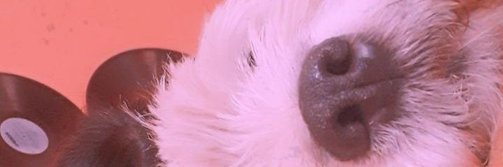 Aguu003's profile banner image