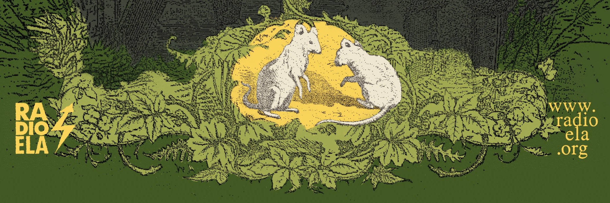 Radio ELA banner