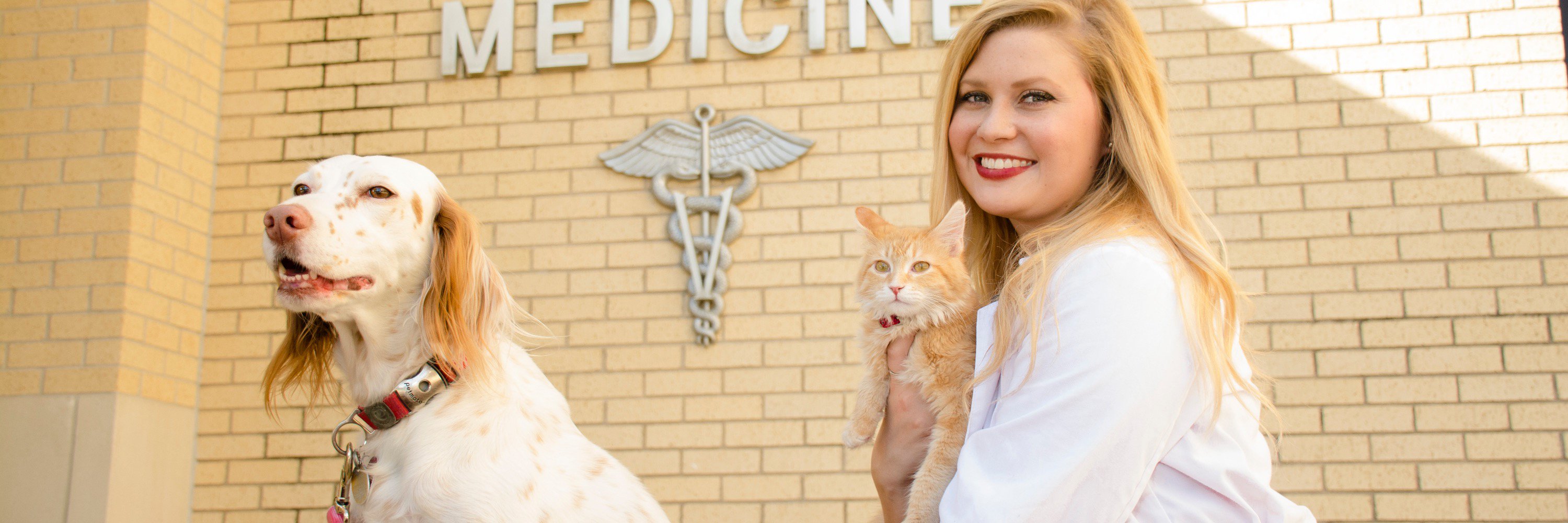 DevinJustine's profile banner image