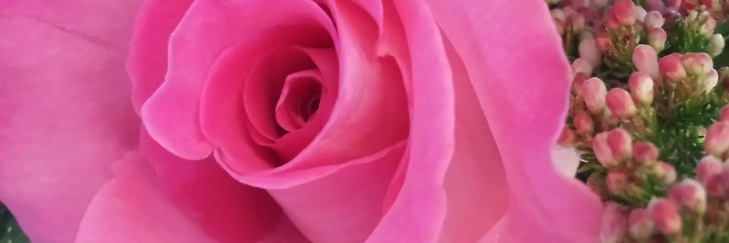 VMLTina's profile banner image