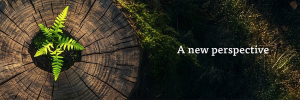WCllpSolicitors Profile Banner