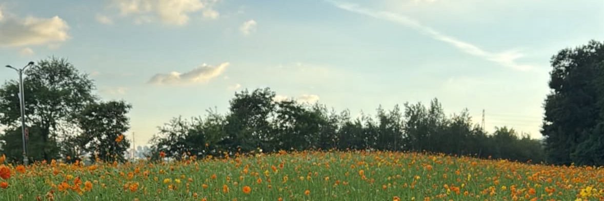 2xxexx's profile banner image