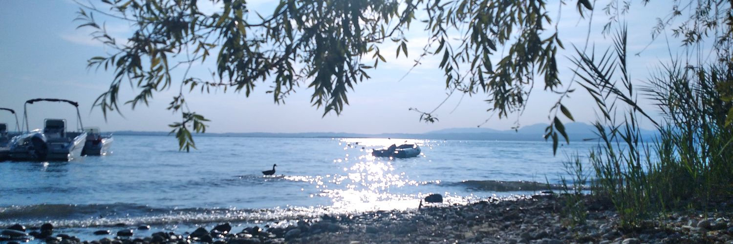 IlariaTesi's profile banner image