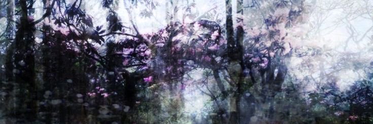 sowlcry's profile banner image