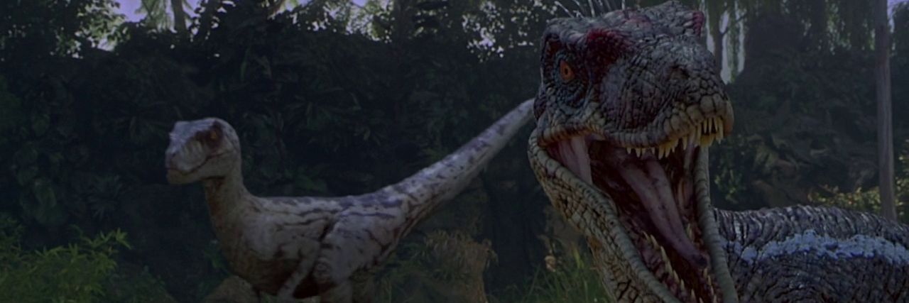 RaptorDinosaur's profile banner image