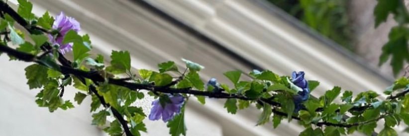 bent_alshraf's profile banner image