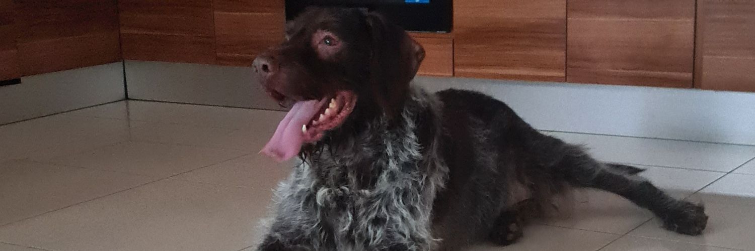 SSD 🇬🇧🇩🇪🇨🇭✝️🟠🟣⚫️VVV☝️ 1️⃣9️⃣0️⃣6️⃣6️⃣ banner