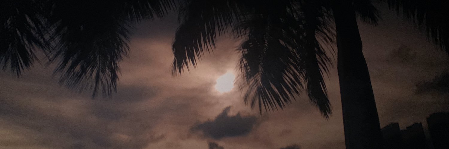 novemberrr_'s profile banner image