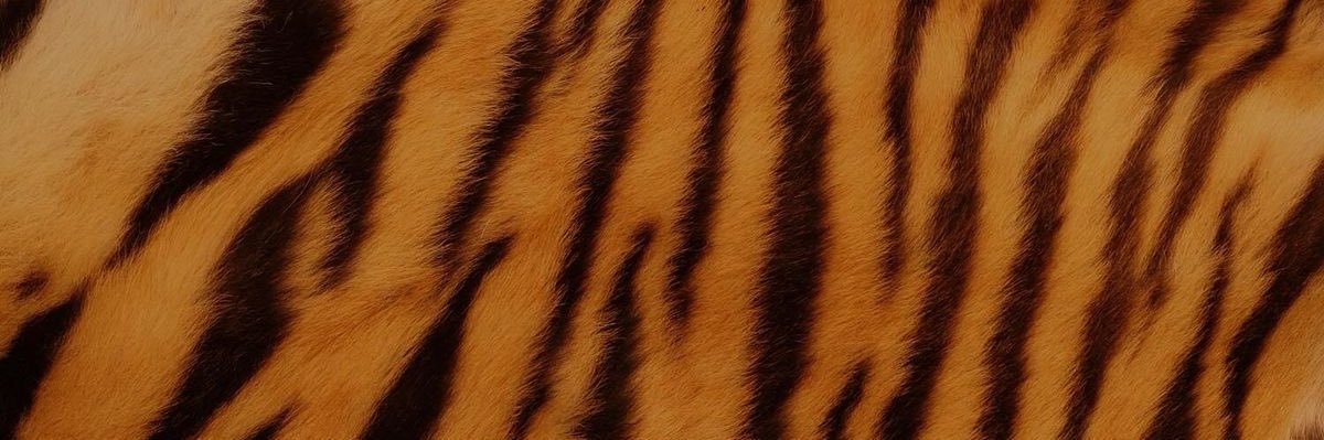 1marceelly__'s profile banner image