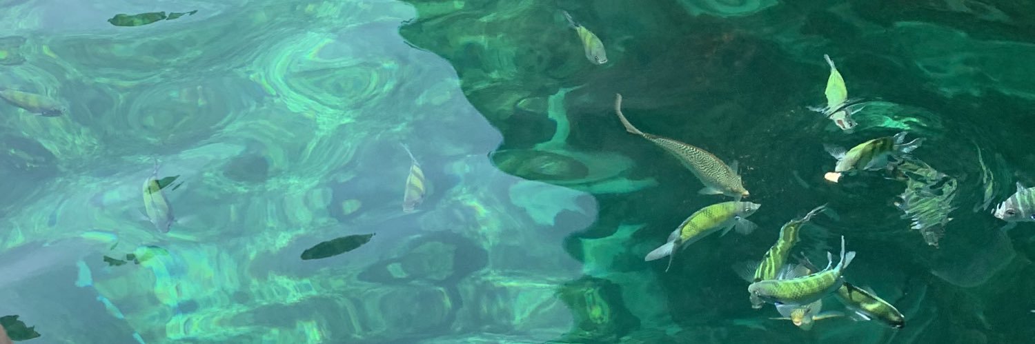 _Jamsss's profile banner image