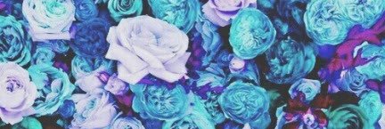 evavalenciaagui's profile banner image