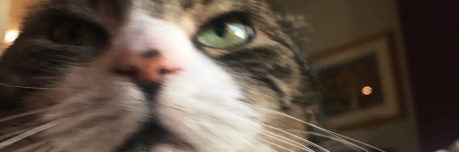 KateMcCormack2's profile banner image
