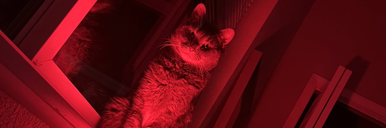AMANDAPLZZZZZ's profile banner image
