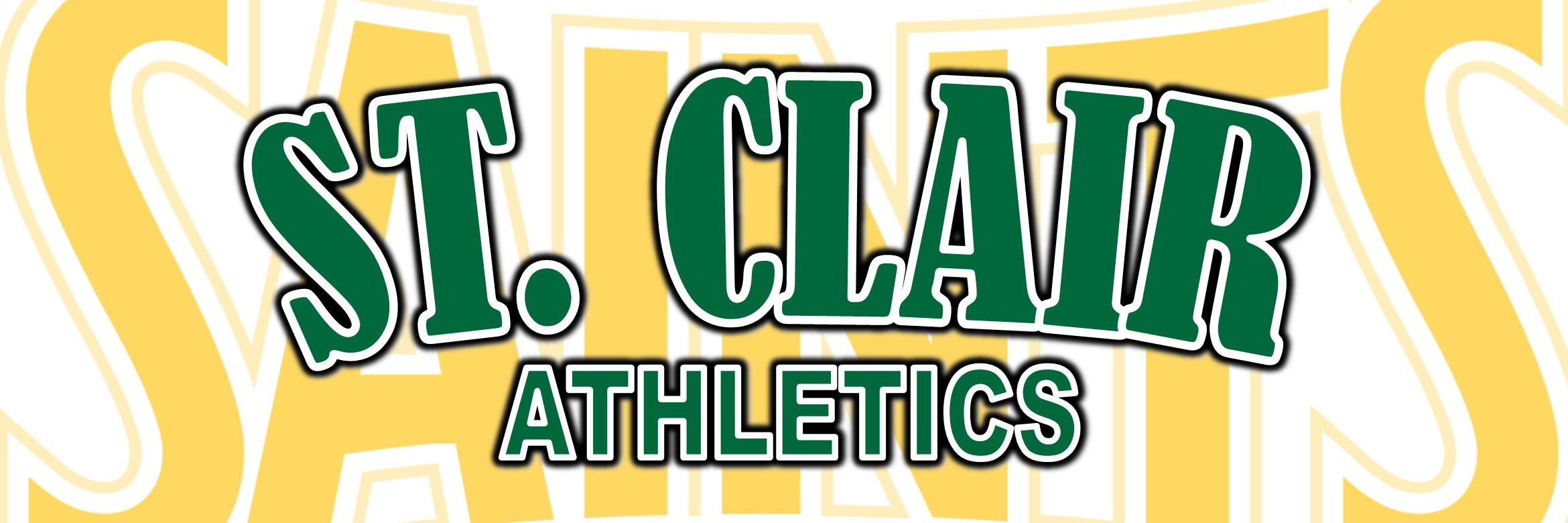 stclairsaints1's profile banner image