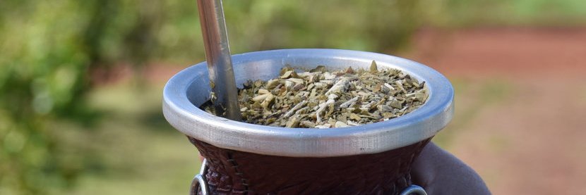 Insti.Nac.Yerba Mate 🇦🇷 banner