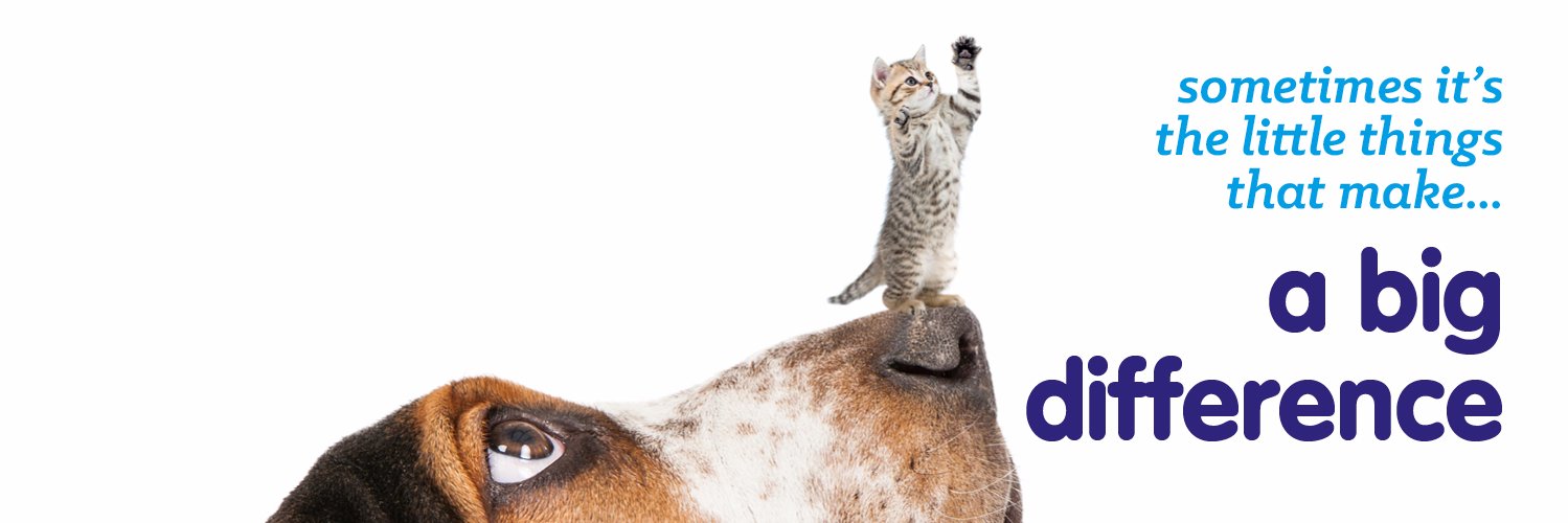 vetdirectuk's profile banner image