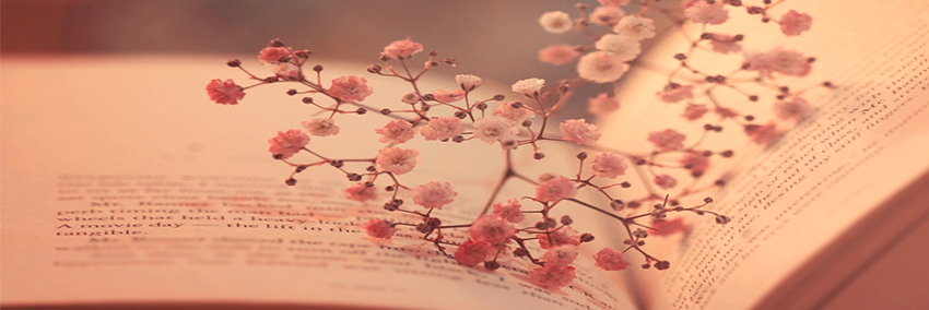 _barbaracarol's profile banner image