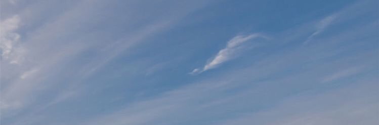 wilddvibes's profile banner image
