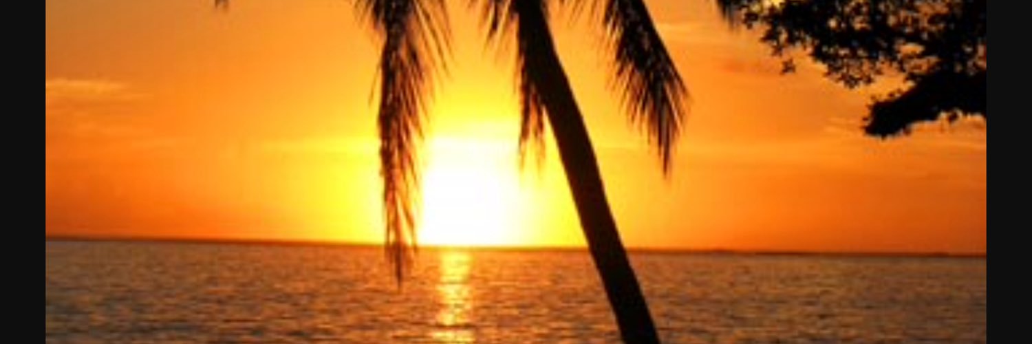 MichelleR_0124's profile banner image