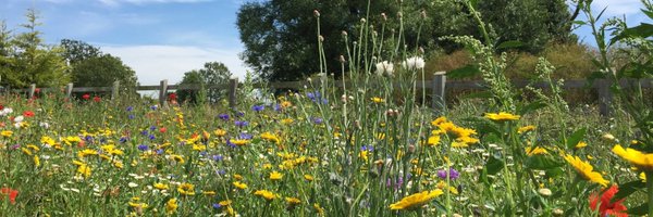 davidmwalker Profile Banner