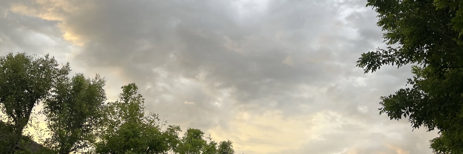 baonoi's profile banner image