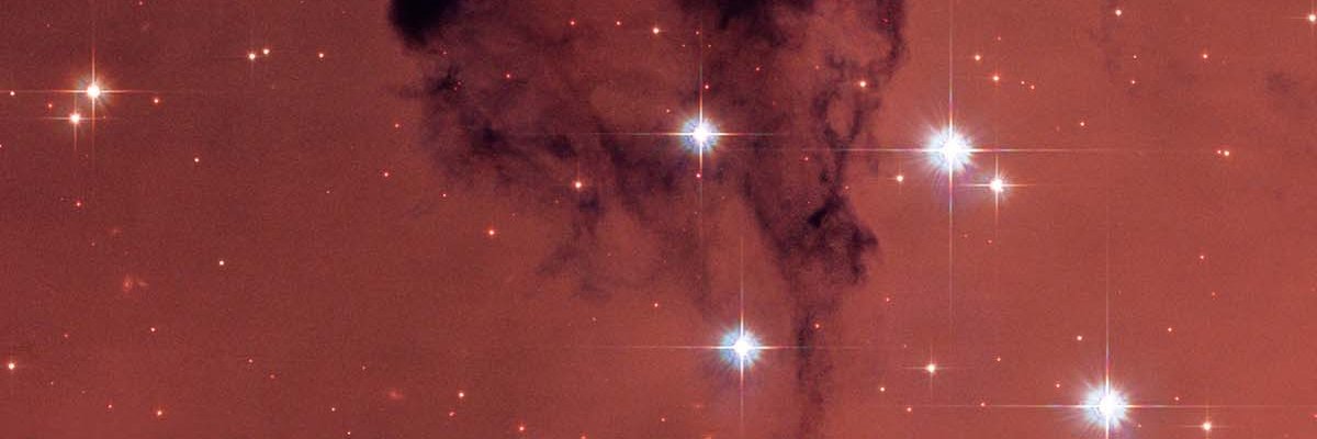 YitonC's profile banner image