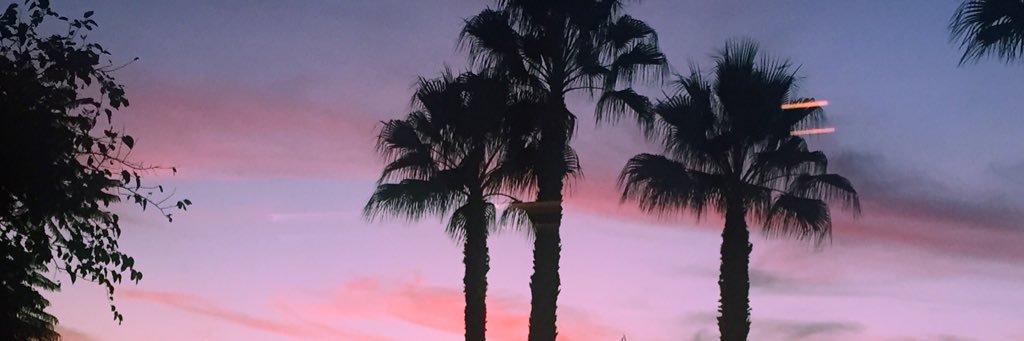 maecrt_'s profile banner image