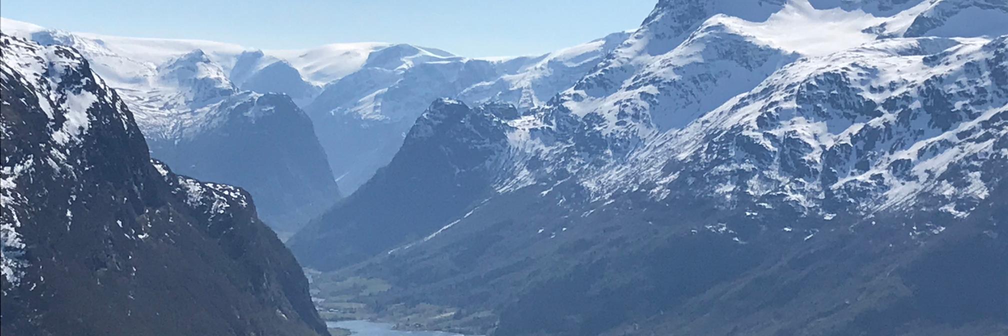 Dr Sylvia Benjamin banner