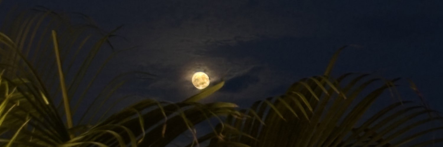 espinosa_09's profile banner image