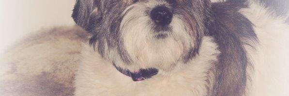 _Judith_X's profile banner image
