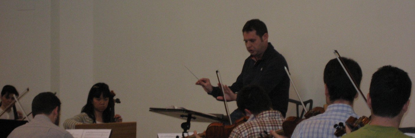 Vicent Simó banner