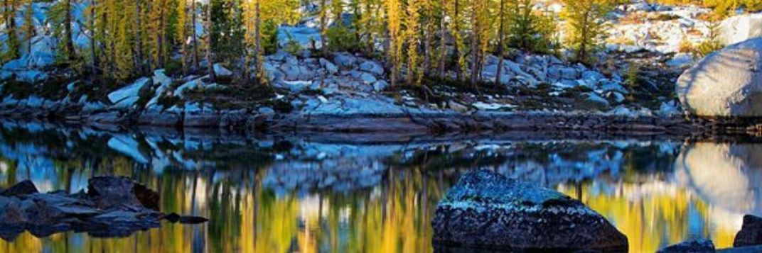 JD🌊🙏💯🌈🌊🏳️‍🌈 banner