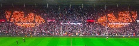 Luke Walker banner