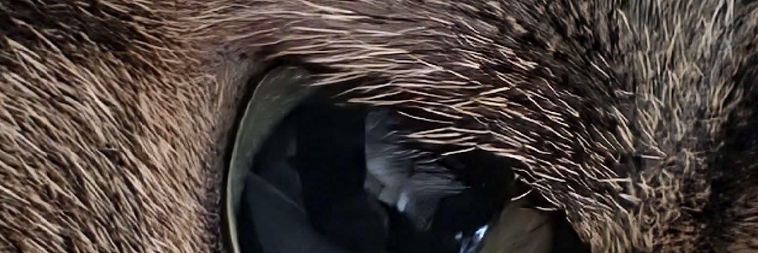 Fowlerr96's profile banner image