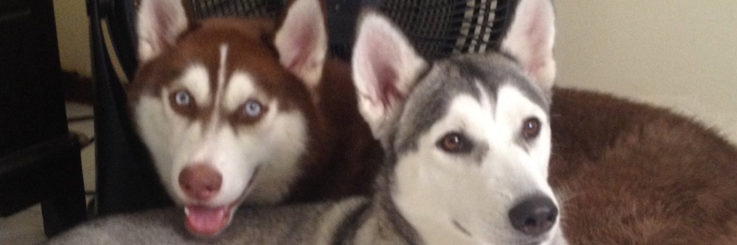 Yolags's profile banner image