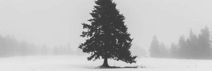 l_on_e_pine's profile banner image