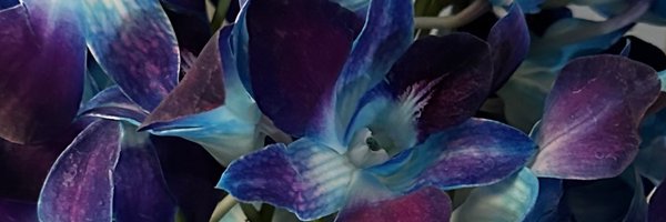 PitchingWright Profile Banner