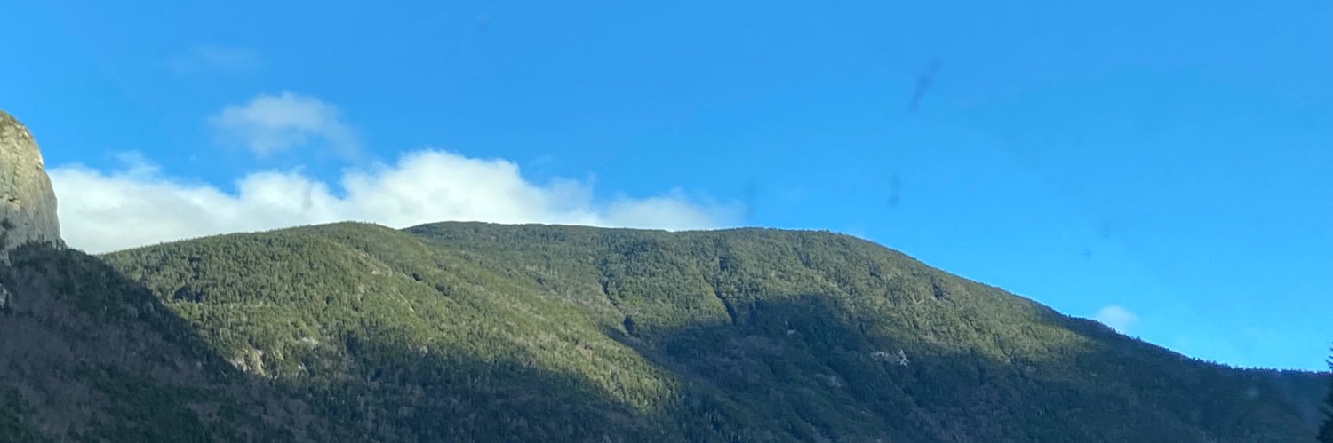 Pauline Brien 🇺🇸 banner