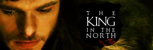 محمد 🐺 banner