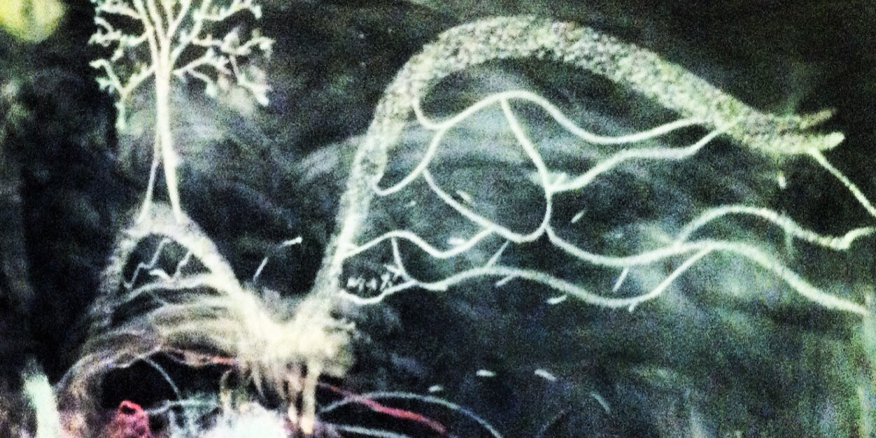 scriptamode's profile banner image