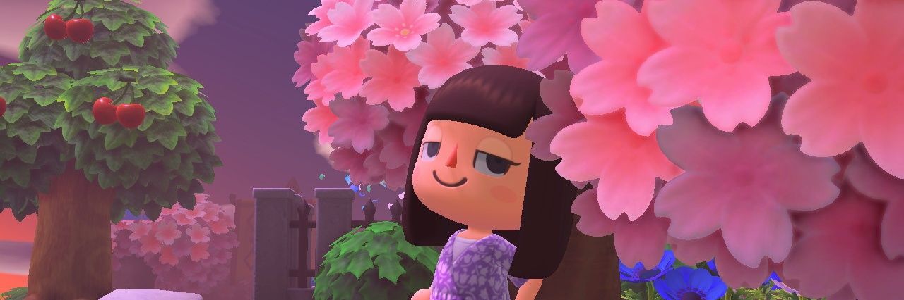 alba_lafu's profile banner image