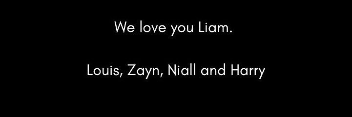 lionheart 🇵🇸 banner